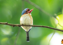 WhatsApp Image 2026-02-05 at 07.19.27.jpeg