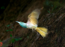 WhatsApp Image 2026-02-05 at 07.23.15.jpeg