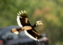 WhatsApp Image 2026-02-05 at 07.24.37.jpeg