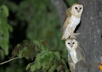 WhatsApp Image 2026-02-22 at 07.42.35.jpeg