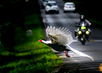 WhatsApp Image 2026-02-22 at 07.42.37.jpeg