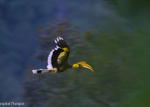 WhatsApp Image 2026-02-05 at 07.24.54.jpeg