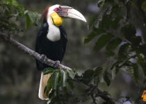 WhatsApp Image 2026-02-05 at 07.19.49.jpeg