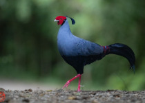 WhatsApp Image 2026-02-05 at 07.26.49.jpeg