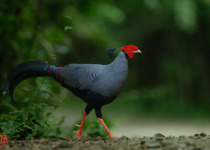 WhatsApp Image 2026-02-05 at 07.27.51.jpeg