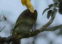 WhatsApp Image 2026-02-05 at 07.22.49.jpeg