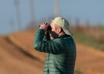 western-cape-birding-guide.jpg