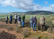 western-cape-birding-group.jpg