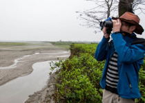North India Fixed Departure Birding Tour