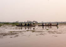 Western Ghats Fixed Departure Birding Tour