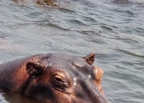 Ultimate Uganda Explorer