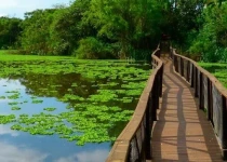 Urban Reserves Buenos Aires Birding Tour