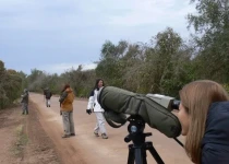 Otamendi Grassland Birding Tour