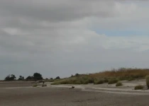 Punta Rasa Birding Tour