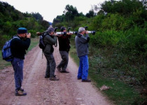 Northwest Argentina Essentials Birding Tour