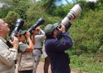 Calilegua, Las Lancitas and Dry Chaco Birding Tour