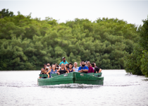 Signature Caroni Bird Sanctuary Boat Tour