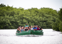 Signature Caroni Bird Sanctuary Boat Tour