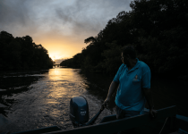 Signature Caroni Bird Sanctuary Boat Tour