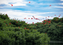 Nanan's Eco Tours