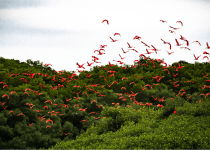 Nanan's Eco Tours