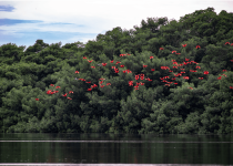 Nanan's Eco Tours