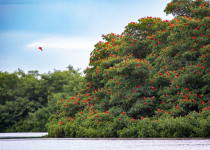 Nanan's Eco Tours