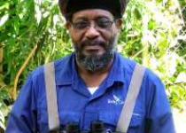 Dominica Full-Day Rainforest Birding and Endemics with Imperial Birding