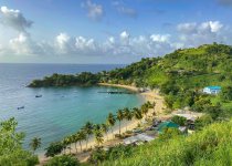 Custom Trinidad and Tobago Birding Package with Zee