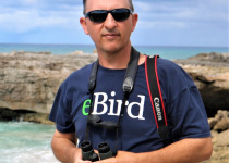 Guadeloupe Full-Day Private Birding with Anthony Levesque