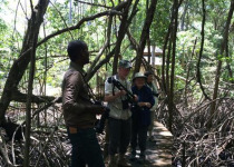 Tobago Wetlands Birding Tour