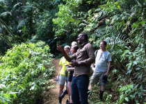 Argyle Waterfalls Nature Tour