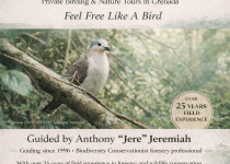 Eco-Guide Expeditions private birding and nature tours in Grenada