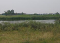 Donna Birkmaier Park Birding and Walking Tour – 2 fantastic hours birding in Saskatoon’s best natural park