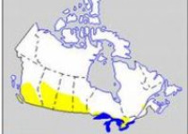 Meadowlark Tours – 2026