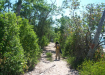 National Park of the East Birding Tour from Bayahibe or La Romana
