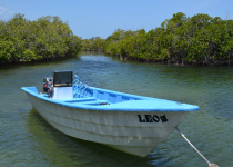 7 Day Ultimate Birding Package in the Dominican Republic