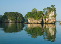 7 Day Ultimate Birding Package in the Dominican Republic