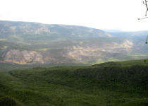7 Day Ultimate Birding Package in the Dominican Republic