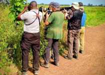 Half-Day Coastal Birdwatching Trips with Turaco Birding