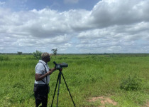 Full-Day Gambia Birdwatching Trips with Turaco Birding