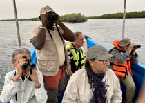10-Day Birdwatching Trip in The Gambia with Turaco Birding