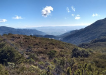 Atlantic Forest North of Sao Paulo and Itatiaia Birdwatching with DBB Tours
