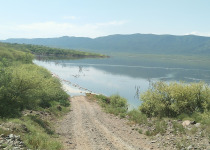 Private Lake Baringo Birding Day with Benson Aengwo