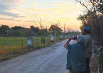 Private Birding Day from Merida