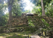 Muyil and Sian Ka'an Birding Tour