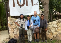 Riviera Maya Area Birding Day