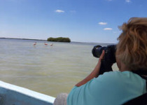 Riviera Maya Area Birding Day