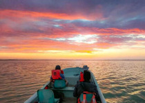 Classic 9-Day Yucatan Birding Route