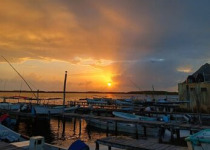 Custom Yucatan Birding and Nature Photography Tour